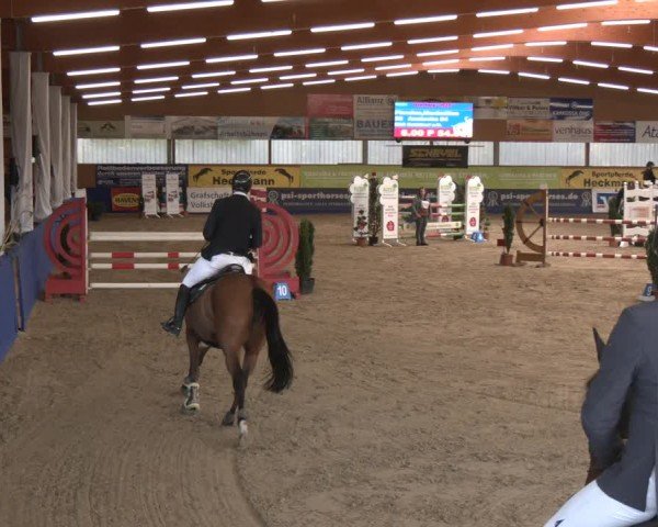Reitturnier Isterberg 2024