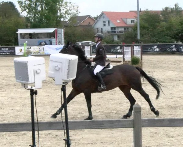 Pferdesporttage Neuendorf SO 2021