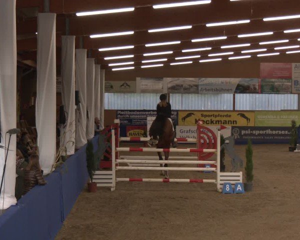 Reitturnier Isterberg 2024