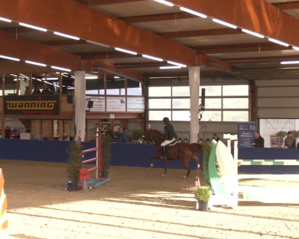 Reitturnier Isterberg 2024