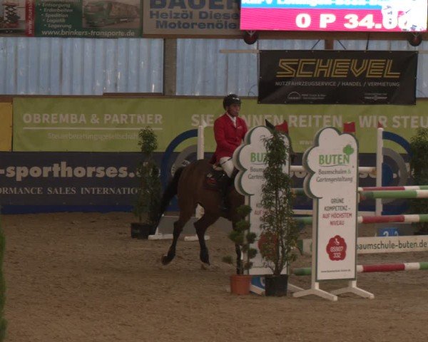 Reitturnier Isterberg 2024