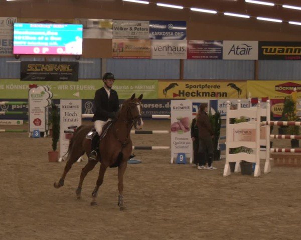 Reitturnier Isterberg 2024