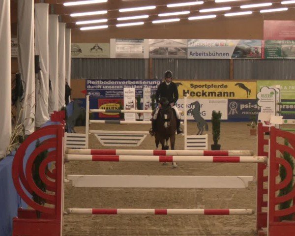 Reitturnier Isterberg 2024
