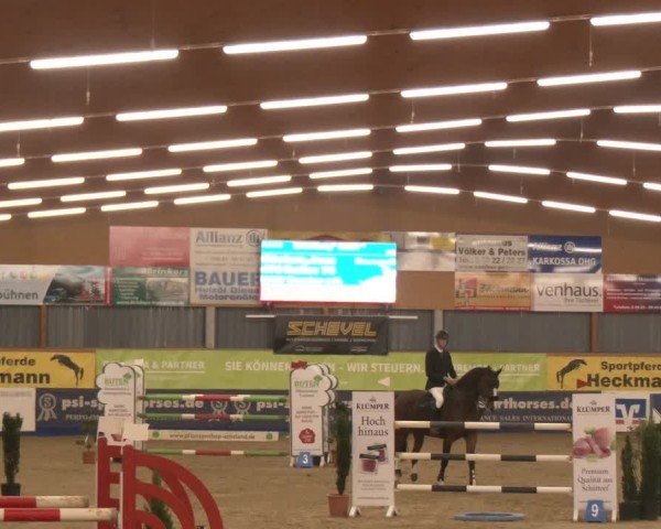 Reitturnier Isterberg 2024