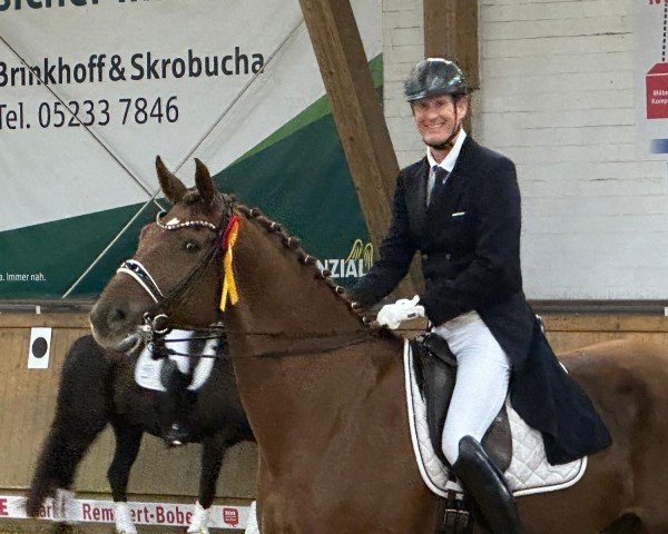 dressage horse Fürst Luigi (Westphalian, 2015, from Tannenhof's Fahrenheit)