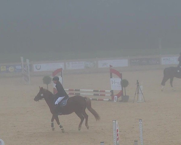 Reitturnier Tiefenhof/Opf. 2024