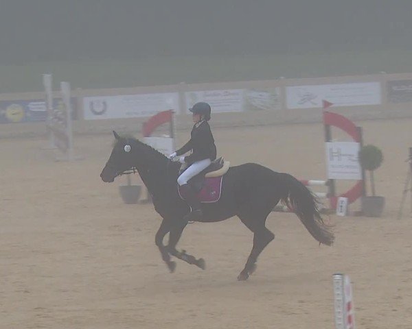 Reitturnier Tiefenhof/Opf. 2024