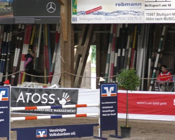 Reitturnier Böblingen 2024