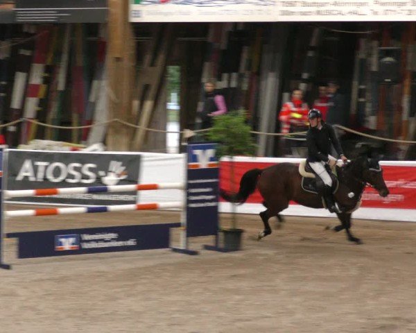 Reitturnier Böblingen 2024
