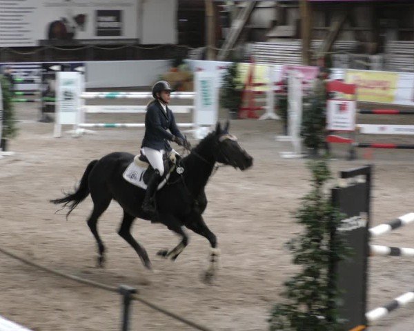 Reitturnier Böblingen 2024