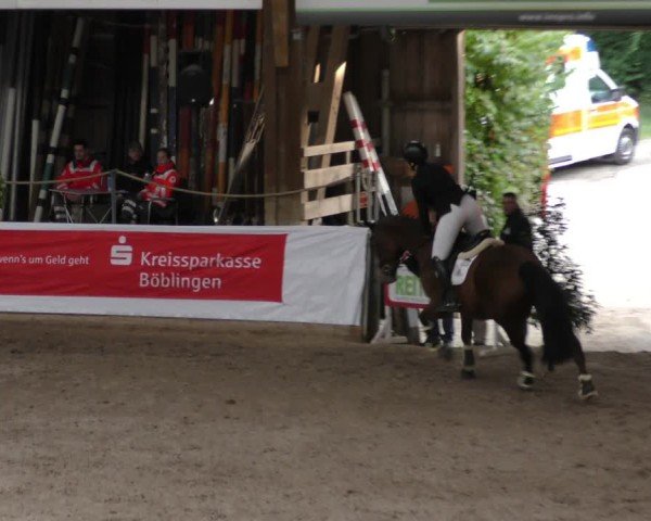 Reitturnier Böblingen 2024