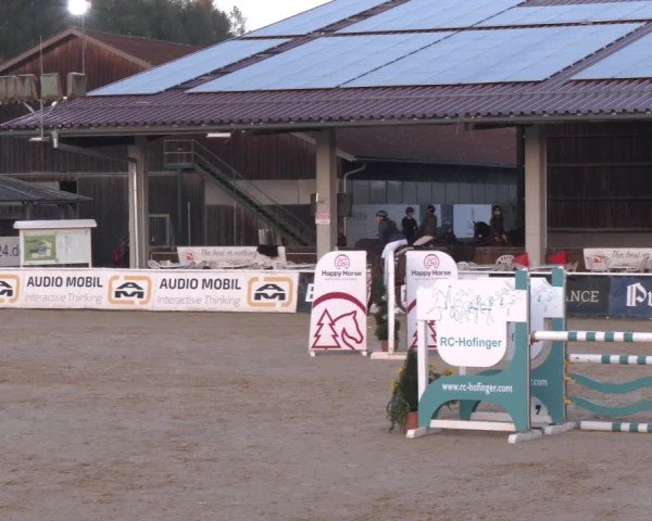 Reitturnier Ranshofen - Braunau am Inn 2024