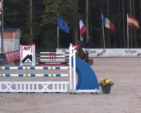 Reitturnier Ranshofen - Braunau am Inn 2024