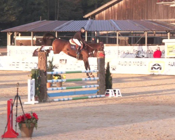 Reitturnier Ranshofen - Braunau am Inn 2024