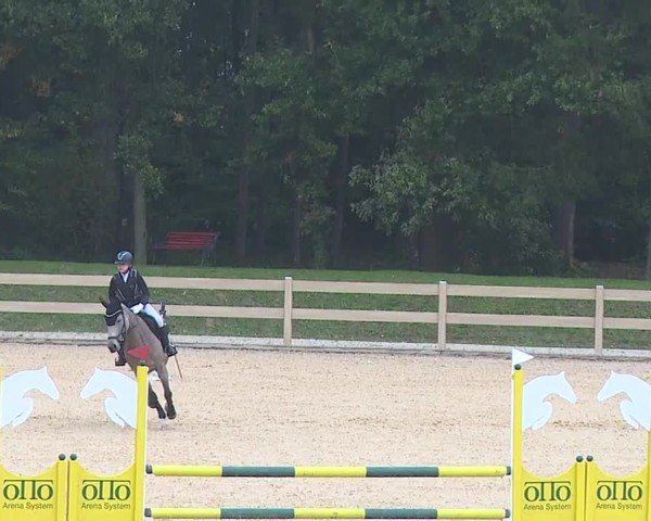 Reitturnier Tiefenhof/Opf. 2024