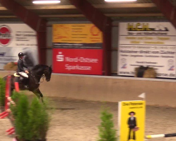 Reitturnier Behrendorf 2024
