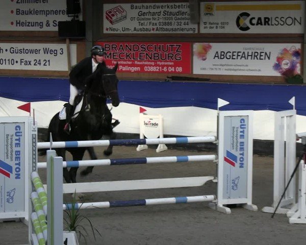 Reitturnier Gadebusch 2024