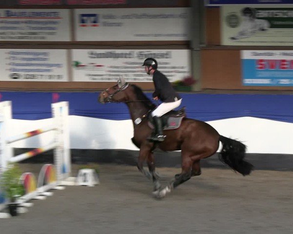 Reitturnier Gadebusch 2024