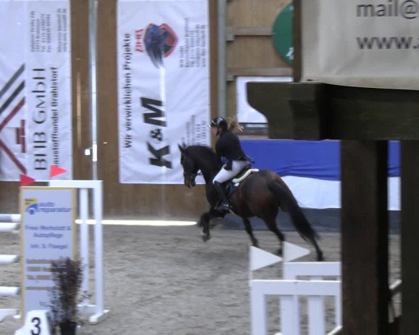 Reitturnier Gadebusch 2024