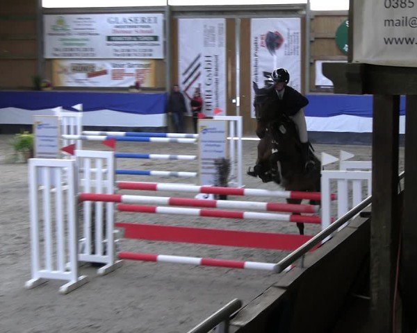 Reitturnier Gadebusch 2024