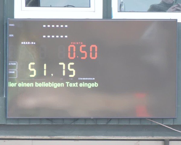 Reitturnier Salzkotten 2024