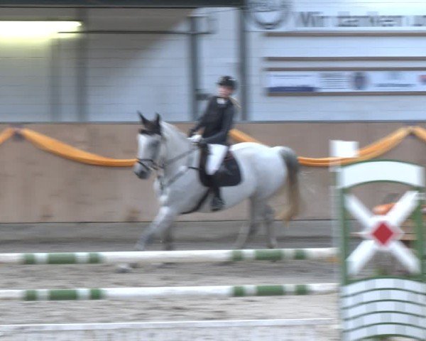 Reitturnier Salzkotten 2024