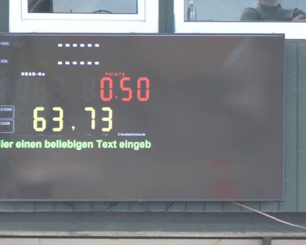 Reitturnier Salzkotten 2024