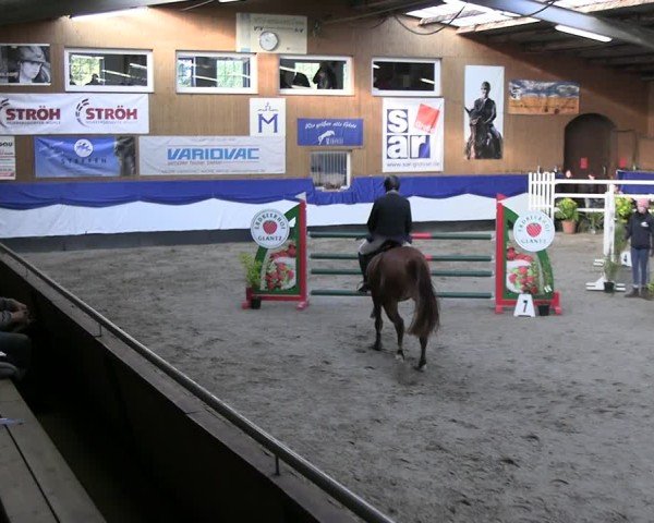 Reitturnier Gadebusch 2024