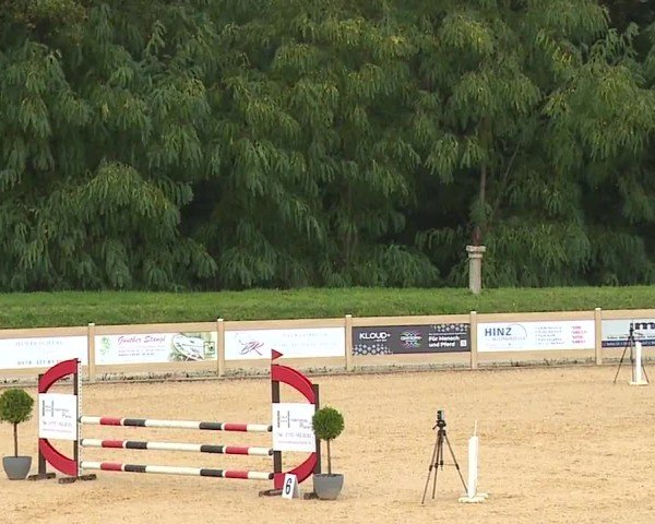 Reitturnier Tiefenhof/Opf. 2024