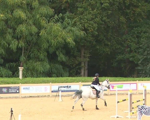 Reitturnier Tiefenhof/Opf. 2024