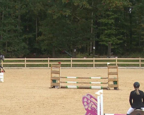 Reitturnier Tiefenhof/Opf. 2024