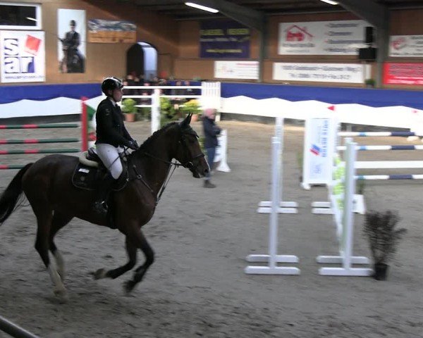 Reitturnier Gadebusch 2024