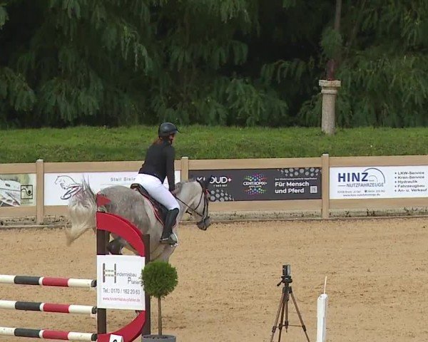 Reitturnier Tiefenhof/Opf. 2024