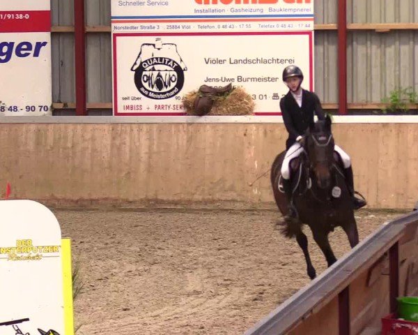 Reitturnier Behrendorf 2024