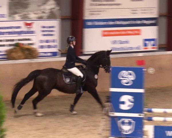 Reitturnier Behrendorf 2024