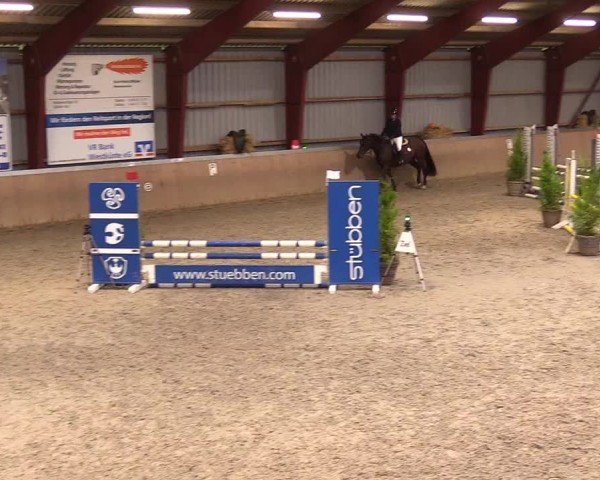 Reitturnier Behrendorf 2024