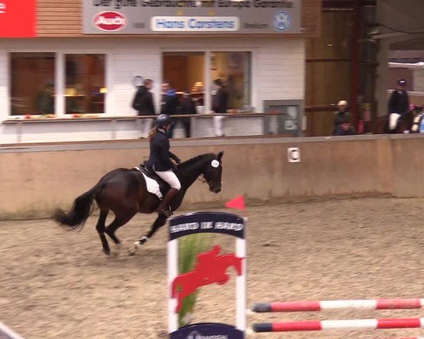 Reitturnier Behrendorf 2024