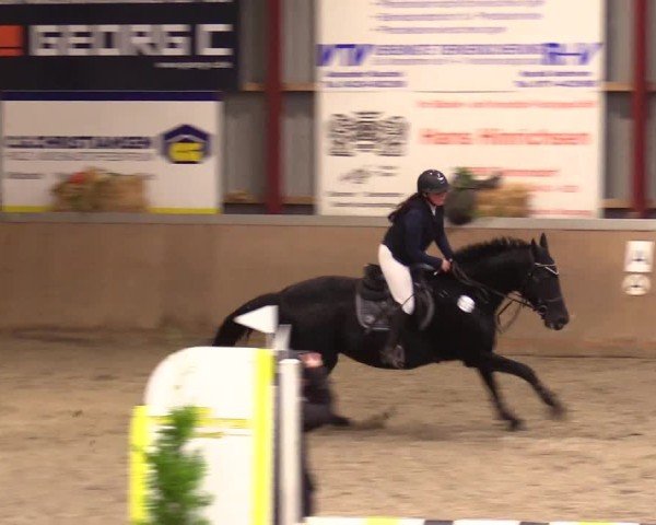 Reitturnier Behrendorf 2024