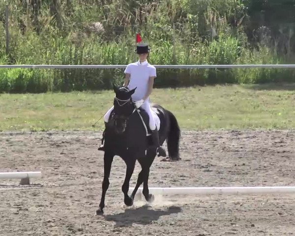 Leutkirch-Haid 2013