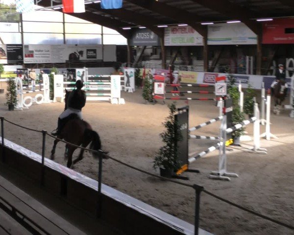 Reitturnier Böblingen 2024