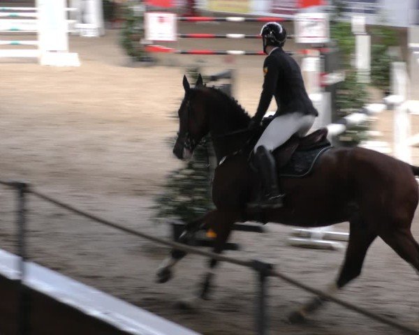 Reitturnier Böblingen 2024