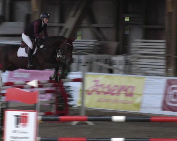 Reitturnier Böblingen 2024