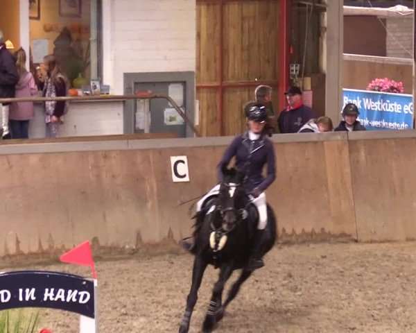 Reitturnier Behrendorf 2024