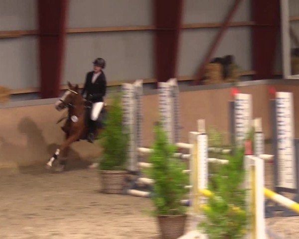 Reitturnier Behrendorf 2024