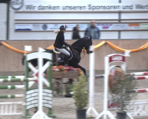 Reitturnier Salzkotten 2024