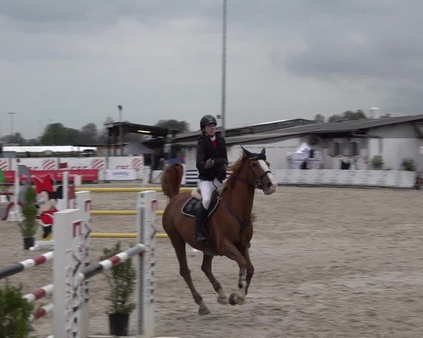 Reitturnier Giubiasco 2024