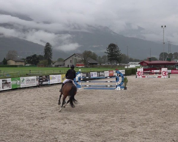 Reitturnier Giubiasco 2024