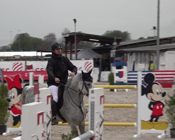 Reitturnier Giubiasco 2024