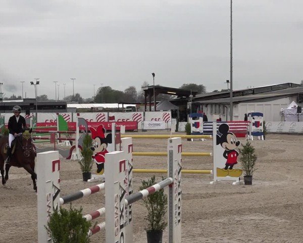 Reitturnier Giubiasco 2024