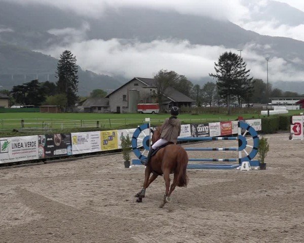 Reitturnier Giubiasco 2024